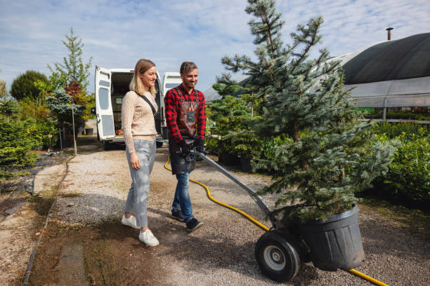 Landscape Design and Installation in Camp Verde, AZ